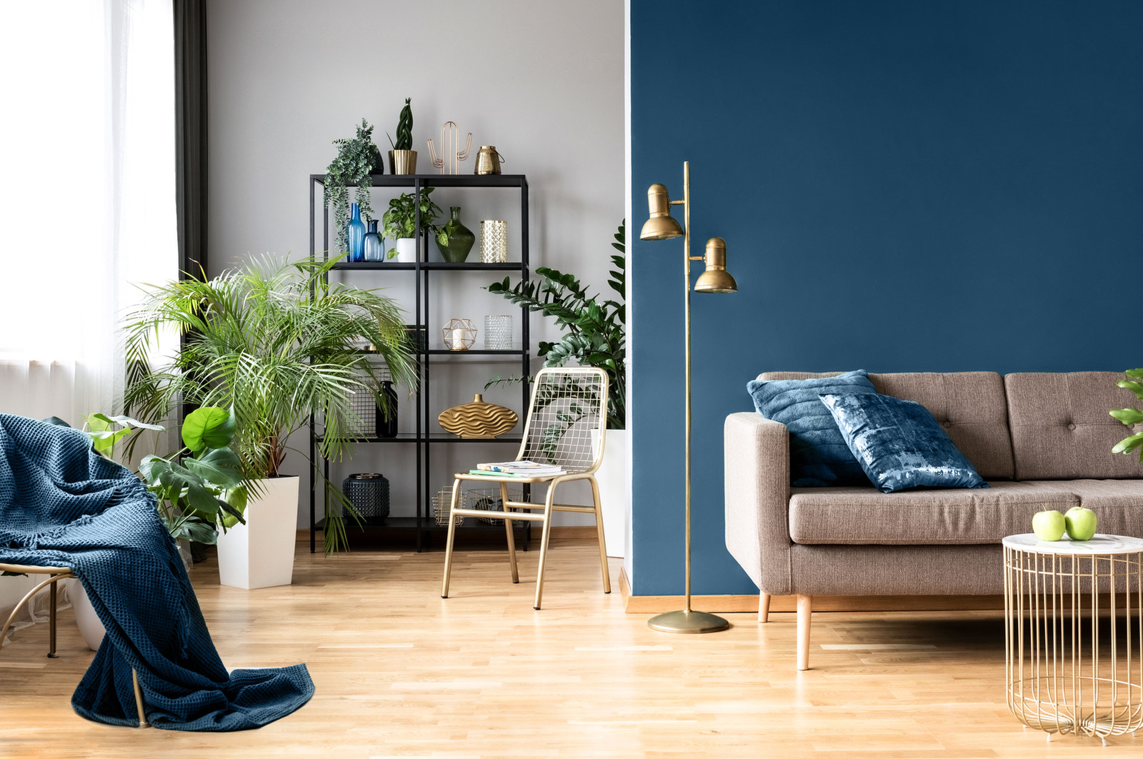 Intérieur d’une maison urbaine avec des plantes